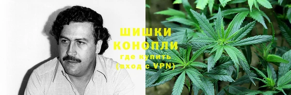 первитин Гусев
