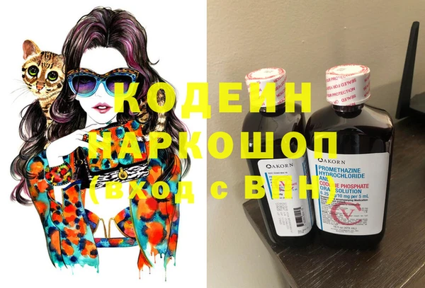первитин Гусев