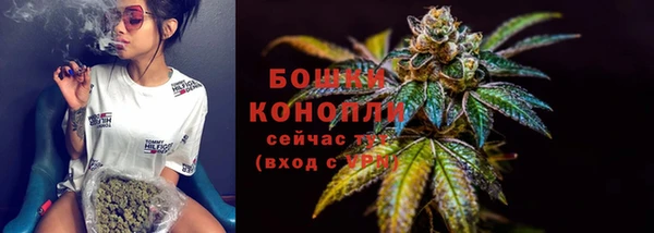 гидра Гусиноозёрск