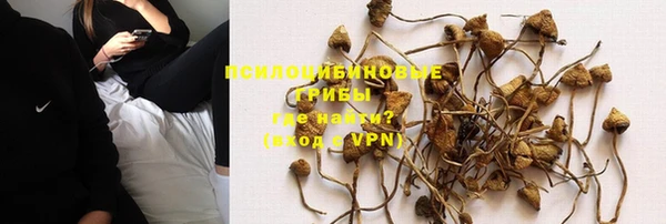 a pvp Гусь-Хрустальный