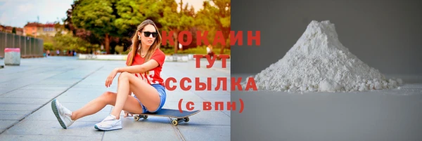 гидра Гусиноозёрск