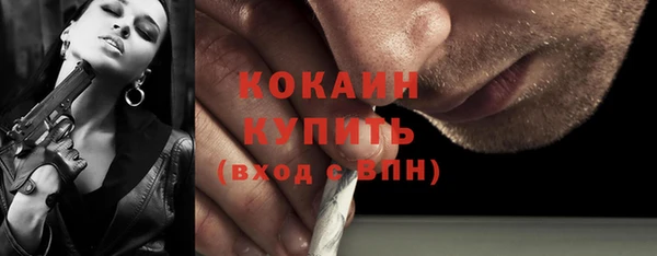гидра Гусиноозёрск