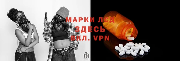 гидра Гусиноозёрск