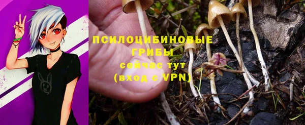 a pvp Гусь-Хрустальный
