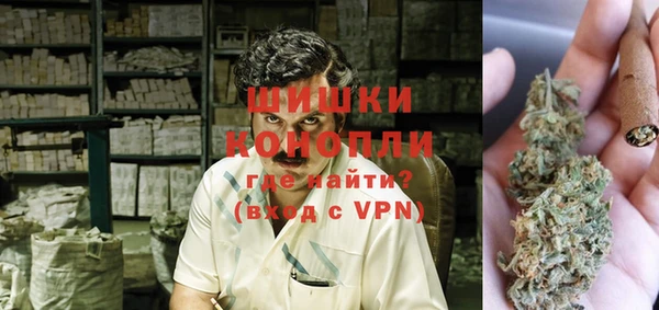 первитин Гусев