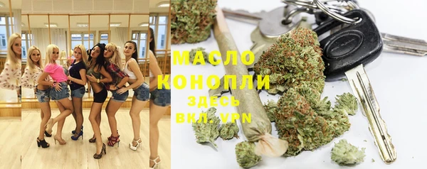 гидра Гусиноозёрск