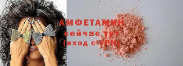 гидра Гусиноозёрск