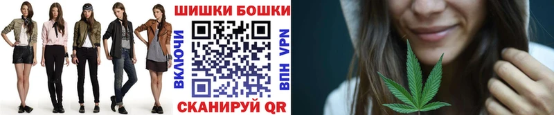 Бошки Шишки план  Купить где  Себеж 